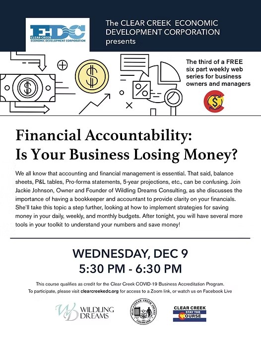 Financial Accountability portfolio preview