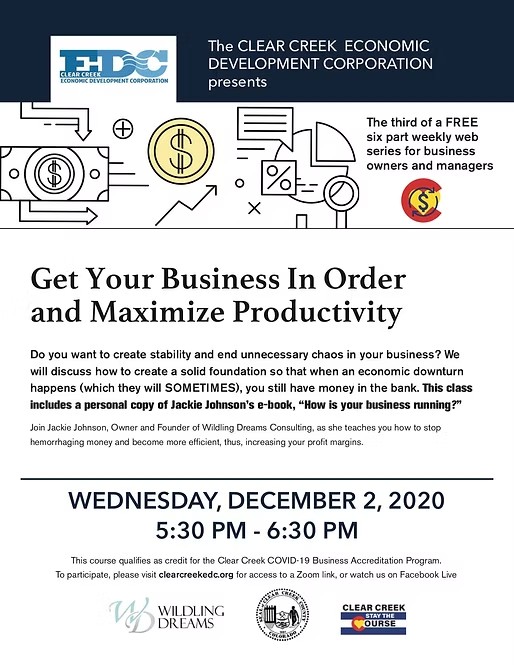 Get Your Business In order portfolio preview